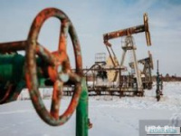 Изменение цен на топливо в Сургуте: январь 2024