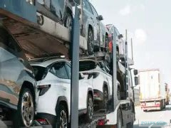 Предупреждение о рисках китайских электромобилей в Германии