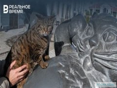 Исчезновение «кошачьих глазков» на дорогах России