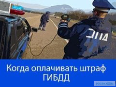 Штрафы с камер: сроки и возможности обжалования