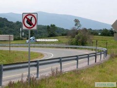 Необычные дорожные знаки предупреждают водителей в Китае