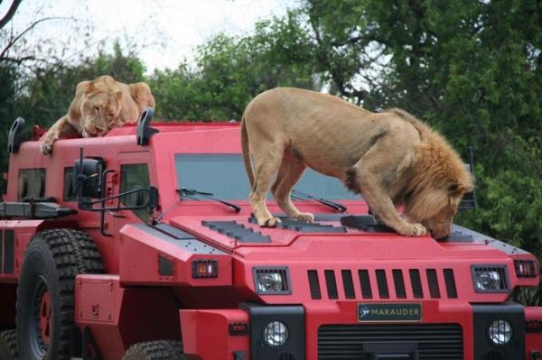 Самый безопасный автомобиль 2016