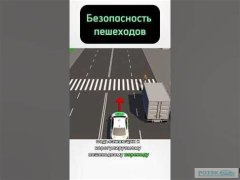 Безопасность пешеходов осенью: советы и правила
