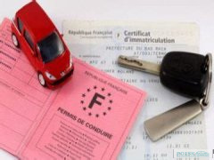 Франция вводит специальные водительские права для электромобилей