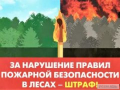 Штраф за нарушение противопожарных норм в лесах