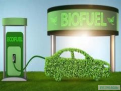 Отмена добавления биотоплива не гарантирует снижение цен на топливо